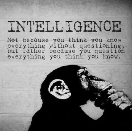 intelligence is...