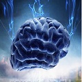 Avatar do Utilizador