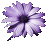 Avatar do Utilizador