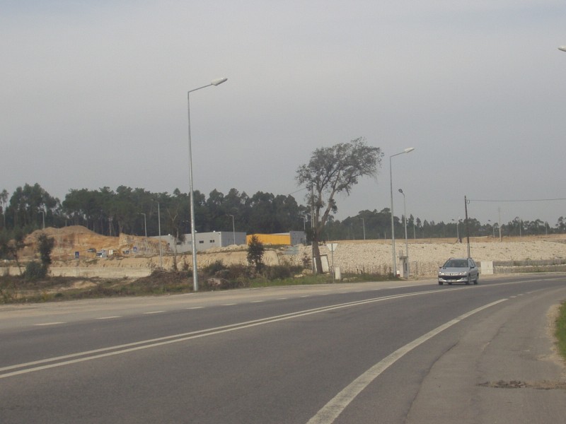 P2160007 (800 x 600).jpg