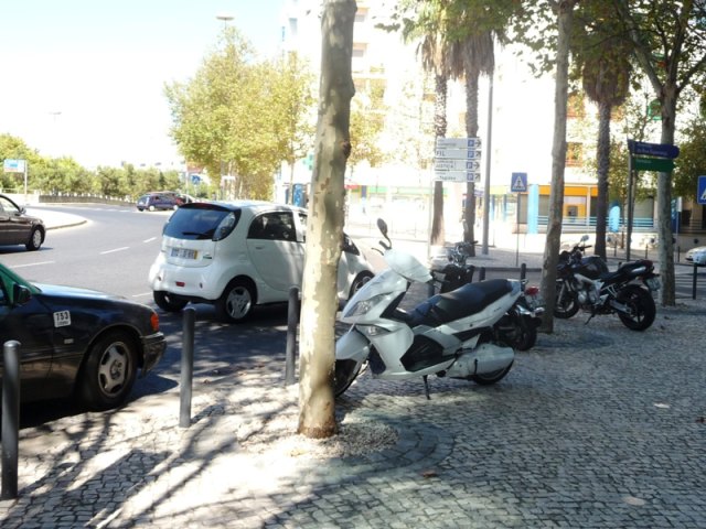 P1670646.jpg