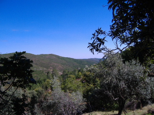 Uma das vista sobre o vale Lourenço