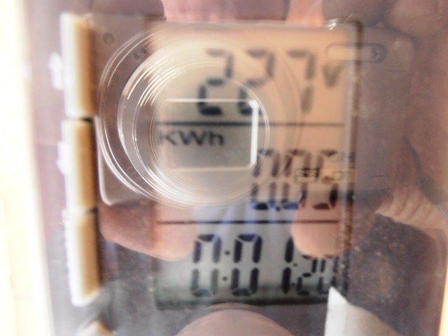 PA210302.JPG