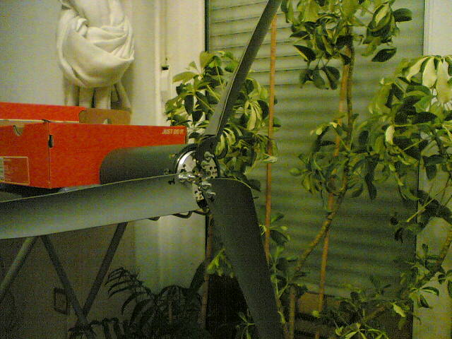 prototipo