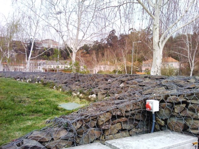 IMG_20130323_122313.jpg