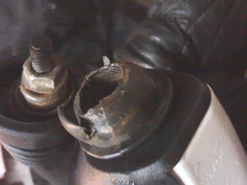IMG_20130329_141646.jpg