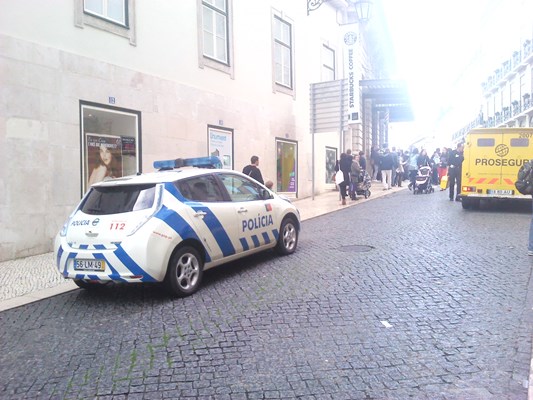 Leaf Policia Chiado small.jpg