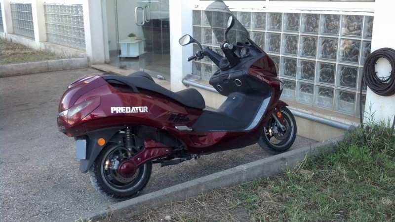 predator1.jpg