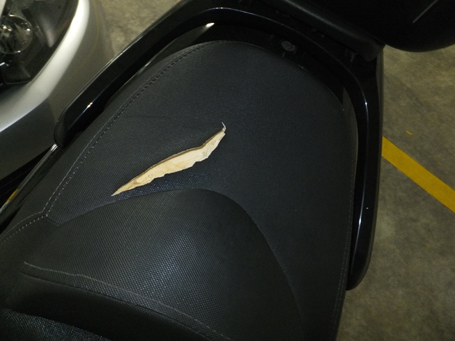 DSCF5912.JPG