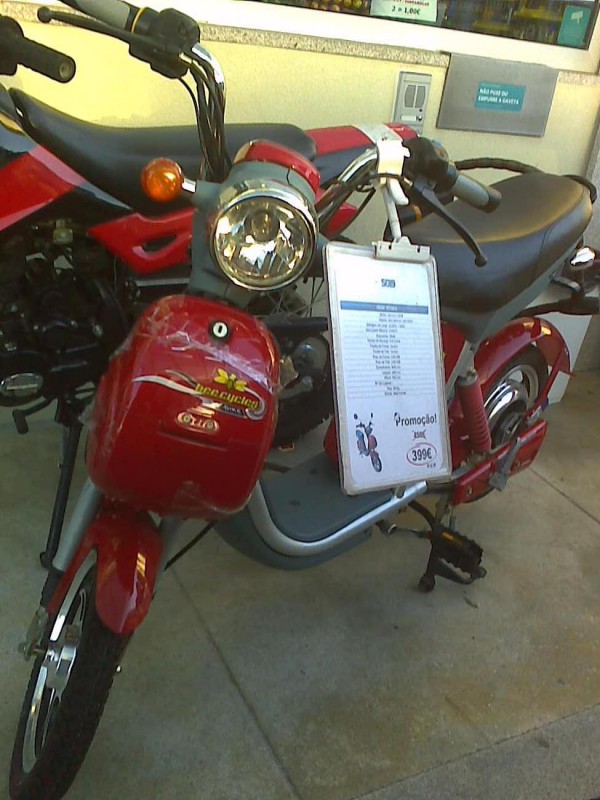 uma beecycle!