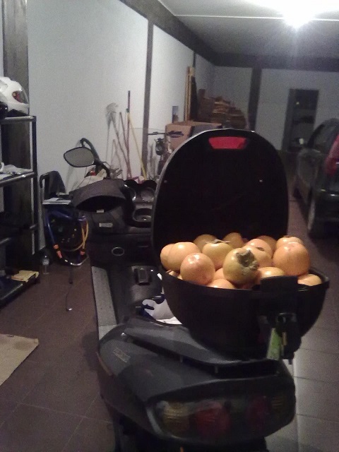 17112013185.jpg