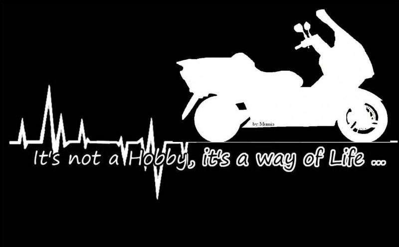 Way of Life Vectrix.jpg