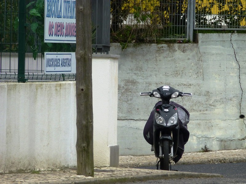 P1080338.JPG