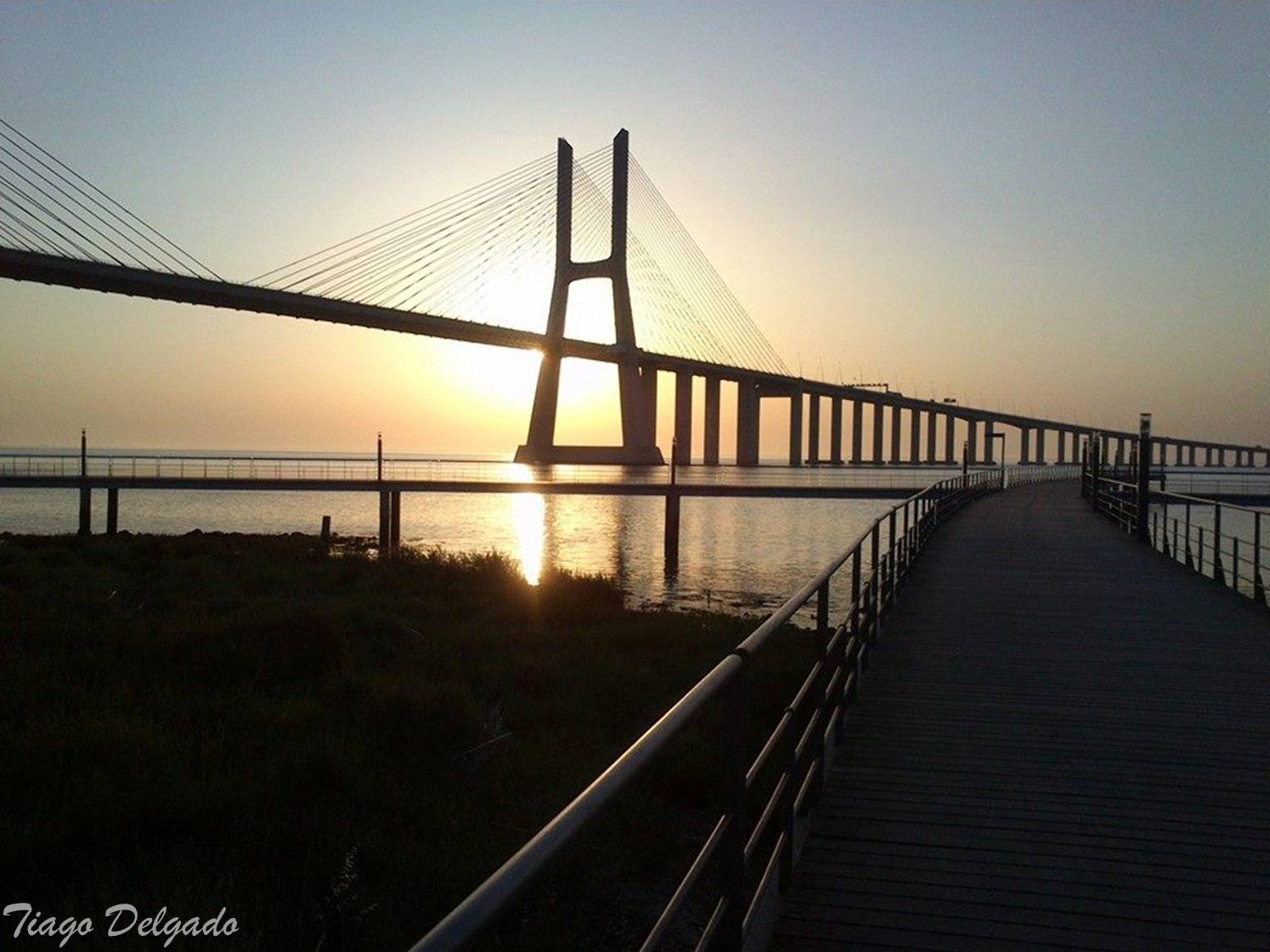 Ponte.jpg