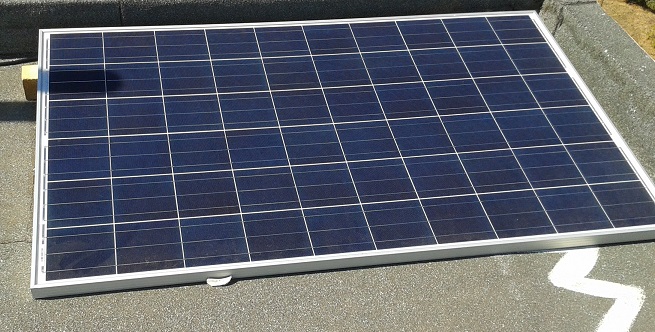 renesola245w.jpg