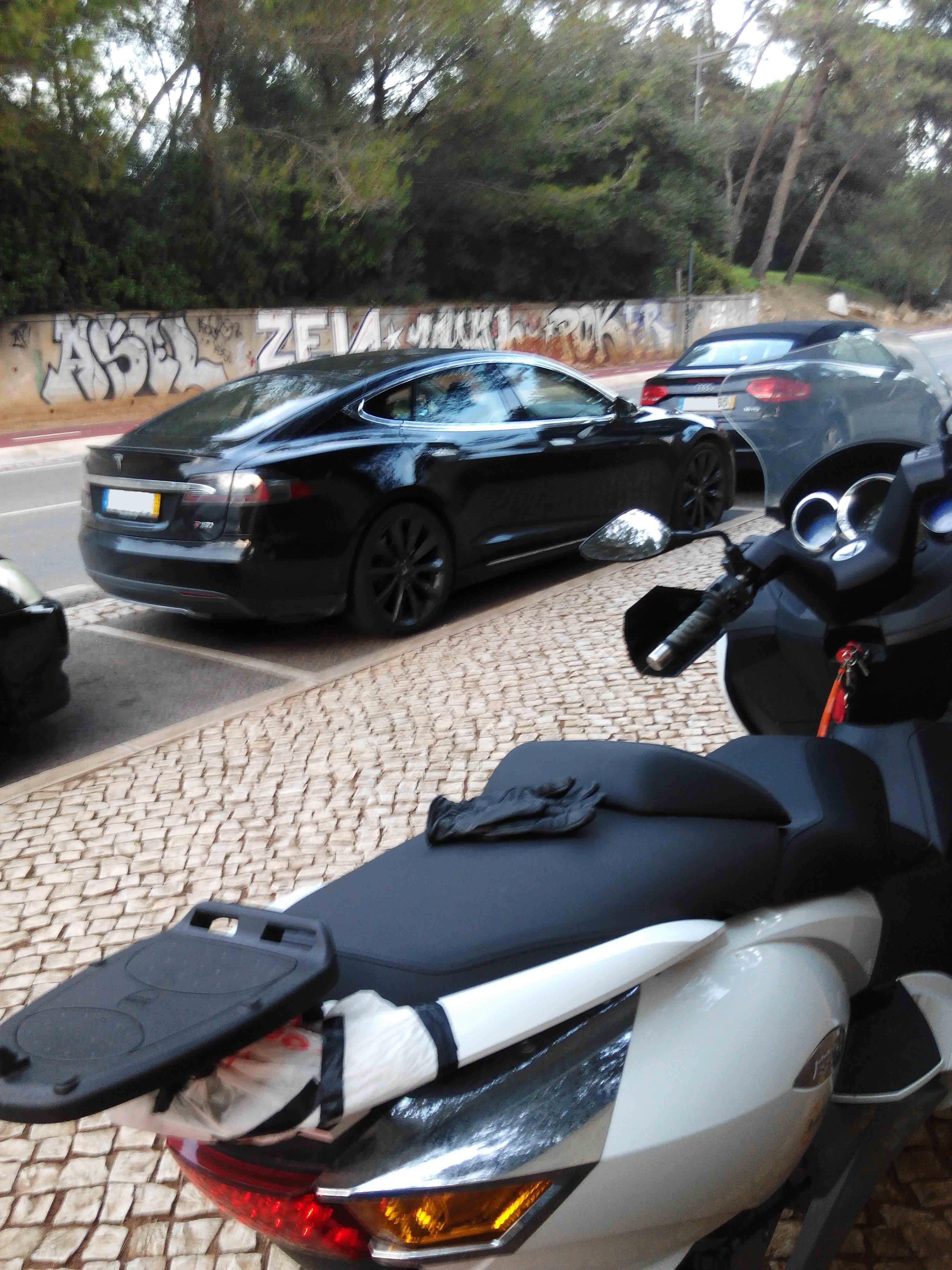 Cavalo-Branco-&-Tesla-S.jpg