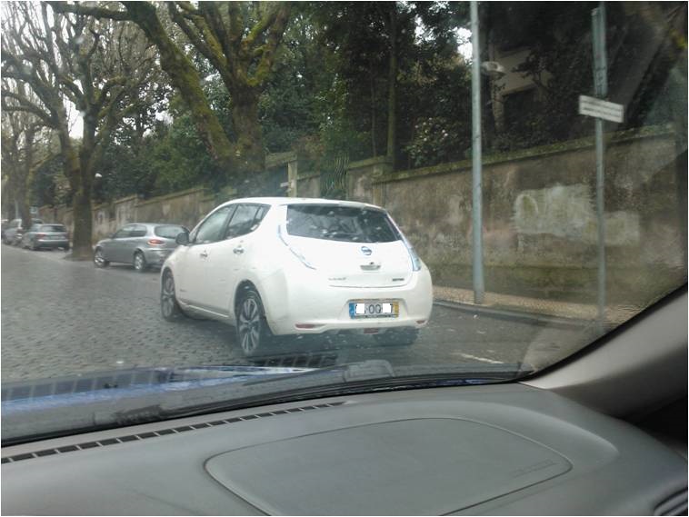 Leaf 2.jpg