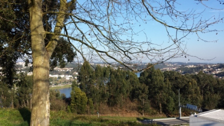 20150308_164947.jpg