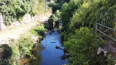 20150719_173050.jpg