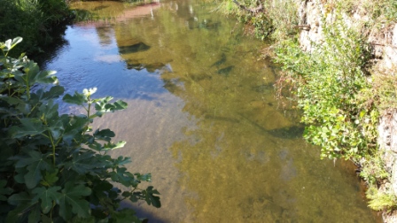 20150719_173041.jpg
