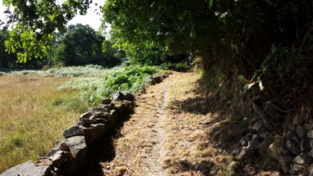 20150719_175036.jpg