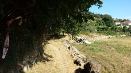 20150719_175023.jpg