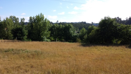 20150719_175007.jpg