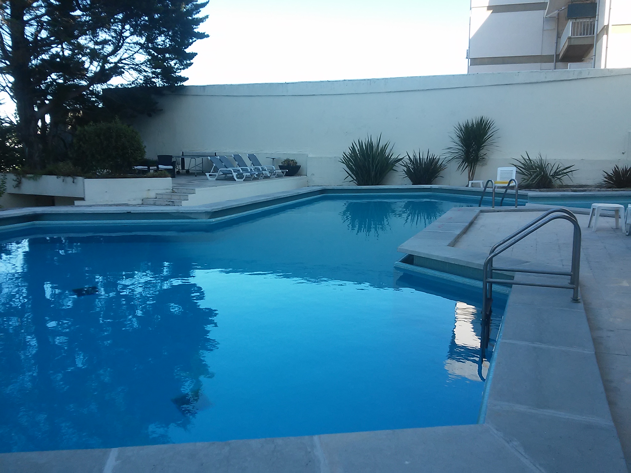 Bons mergulhos na piscina.jpg