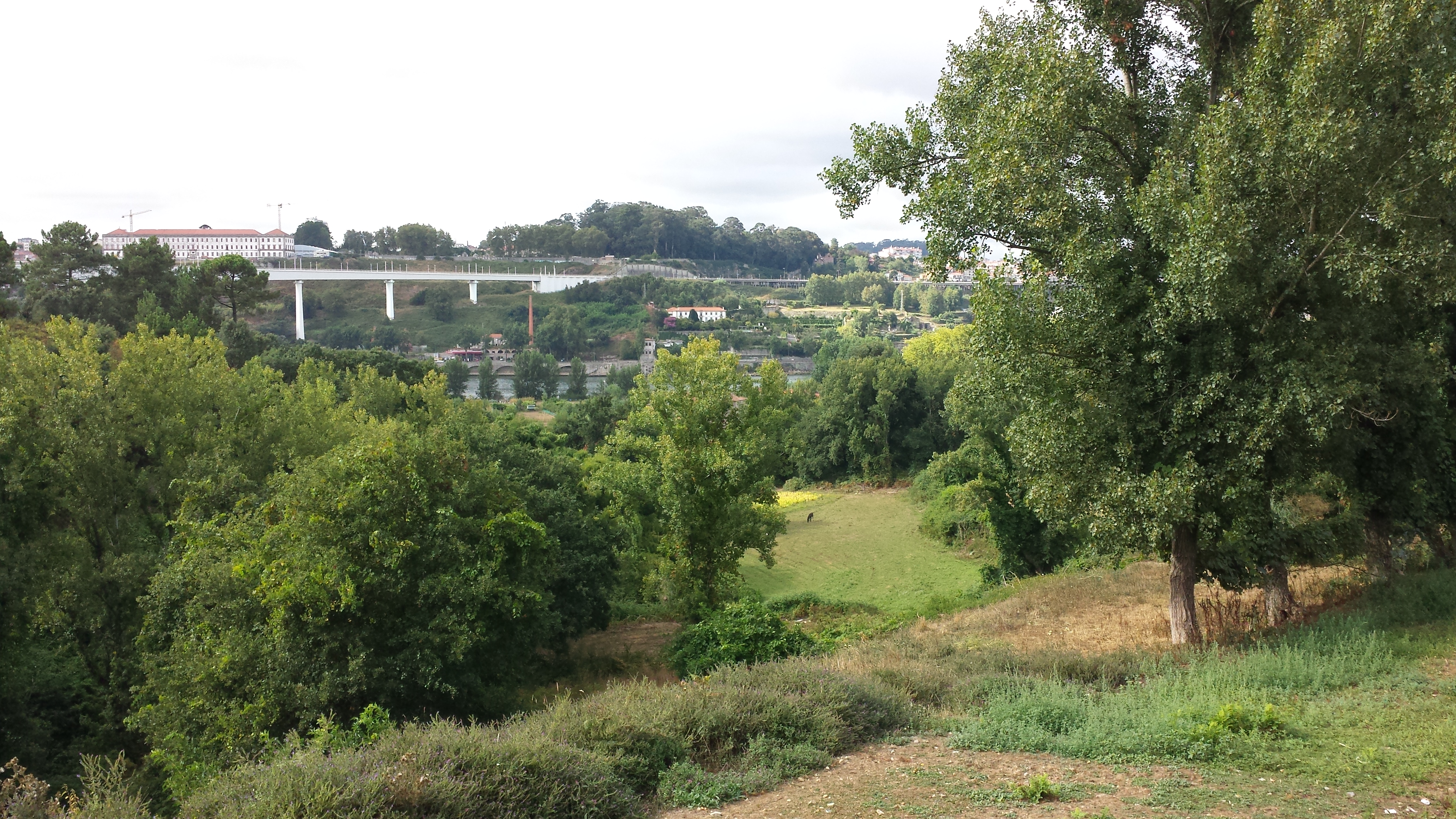 20150813_172622.jpg