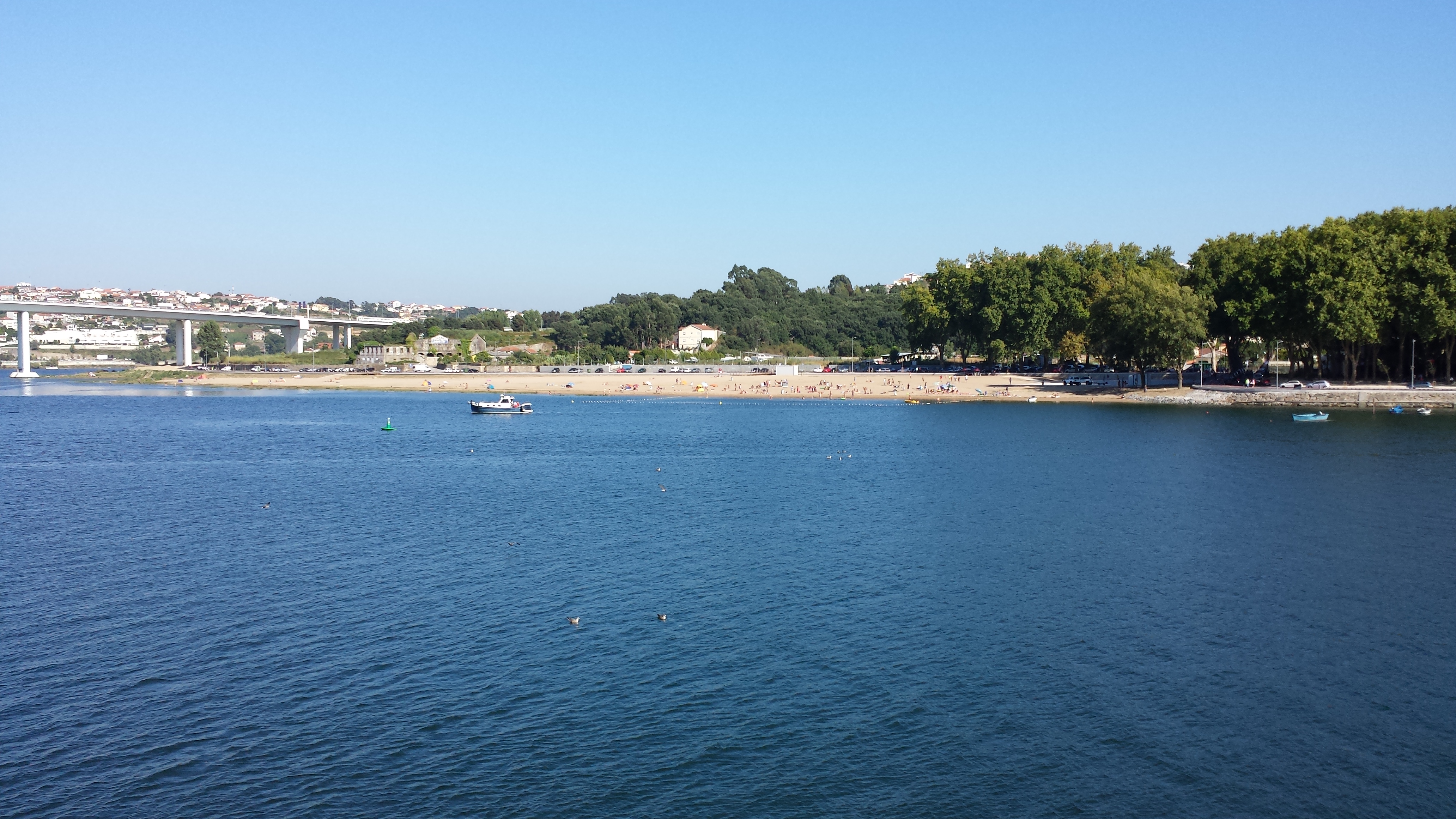 20150801_180148.jpg
