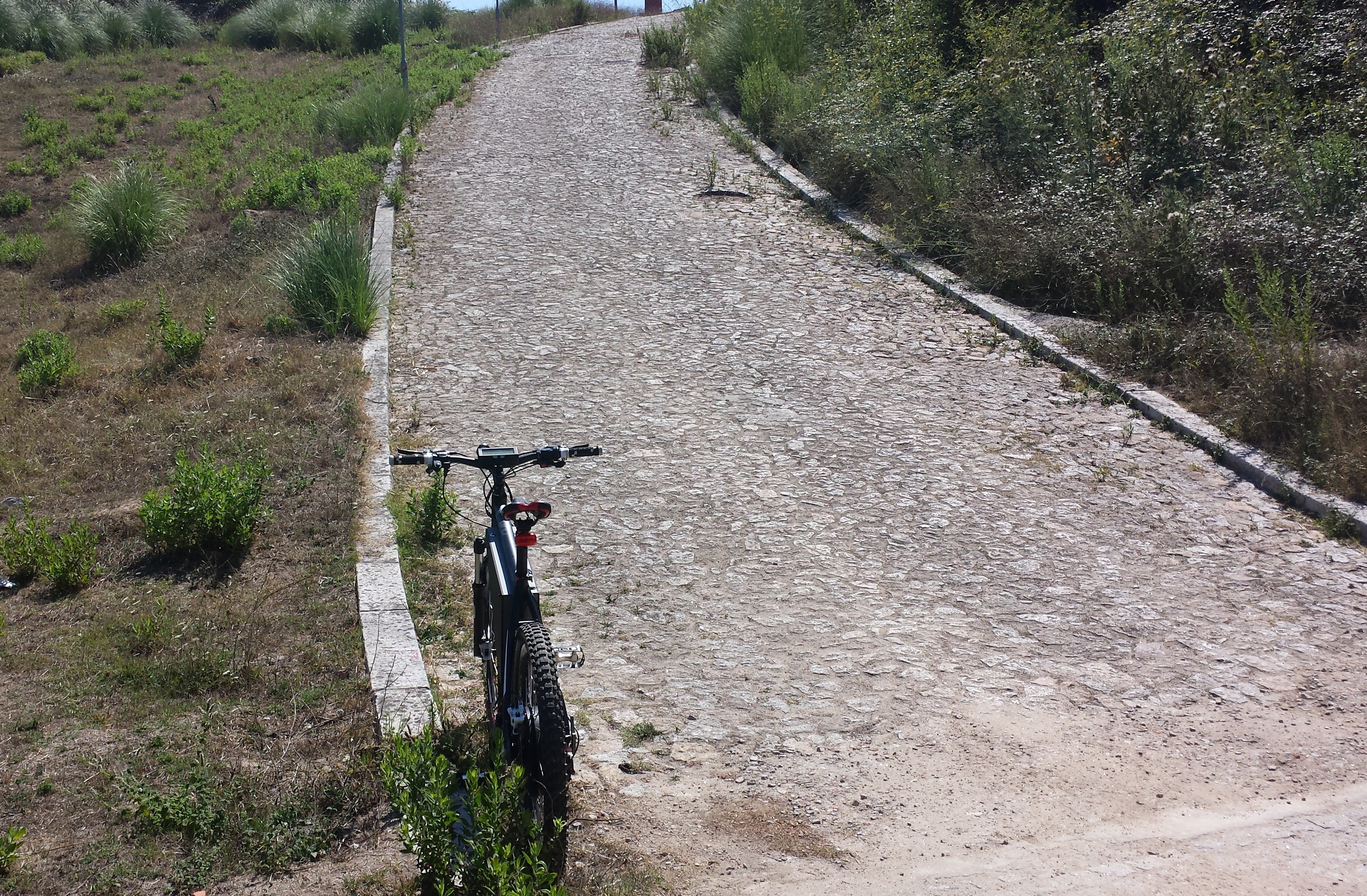 20150818_150236.jpg