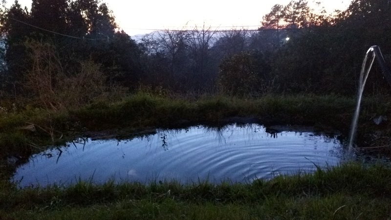 Lago do jardim ao fim da tarde