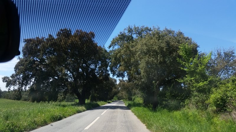 Um Alentejo mt verde,bonitas paisagem com mt pouco trânsito