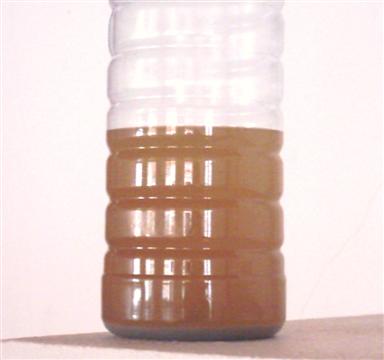 1o grsilicato-lt.JPG