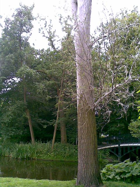 19062009(001) (Small).jpg