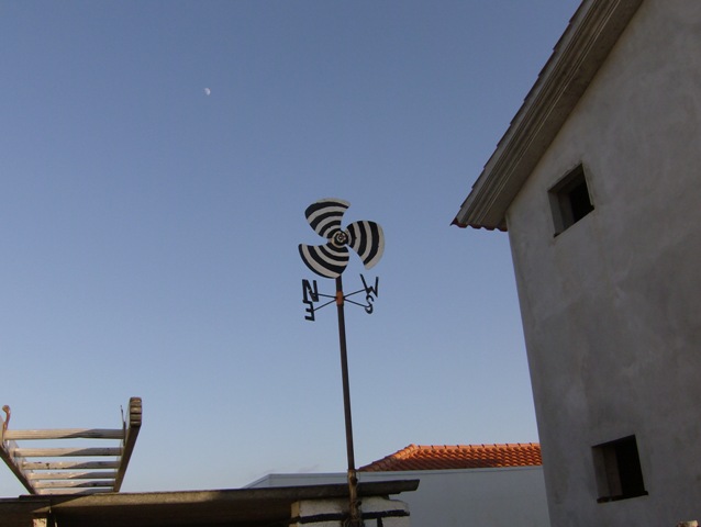 HPIM5979.jpg