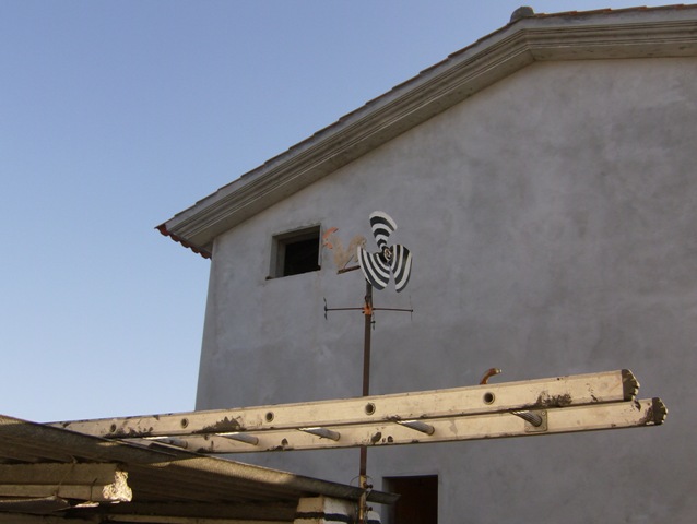 HPIM5980.jpg