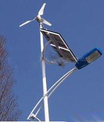 SNAG-0346.jpg