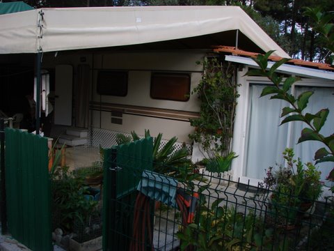 DSC00740.jpg