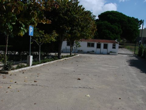 DSC00743.jpg
