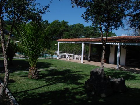 DSC00744.jpg