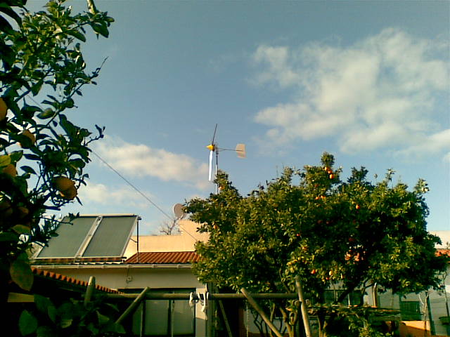02042010.jpg