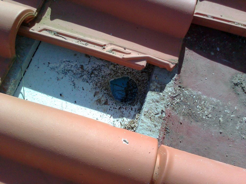 Image1.jpg