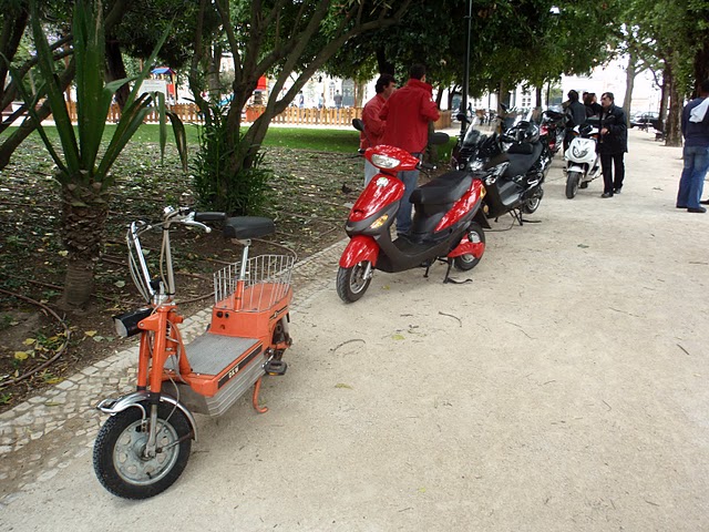 P6120027.JPG
