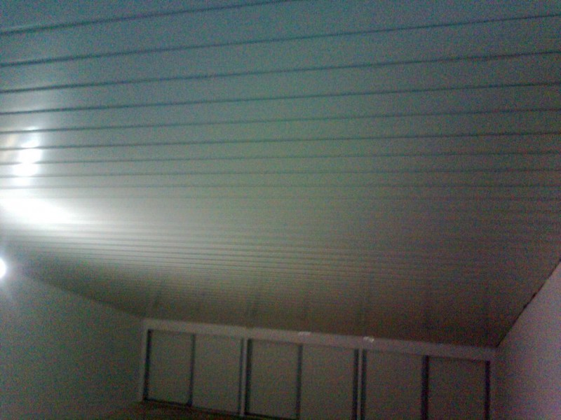 Image1.jpg