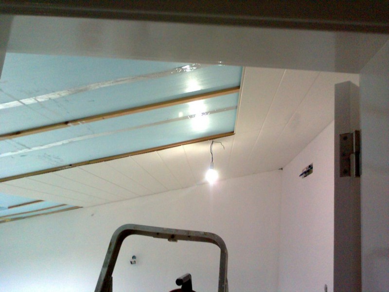 Image2.jpg