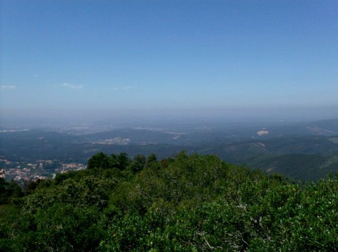 HPIM0295 (686 x 512).jpg