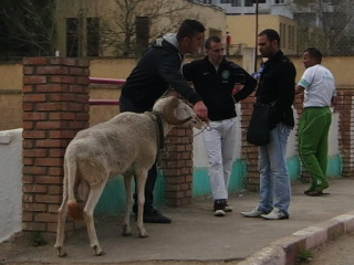 Encontro de amigos.JPG