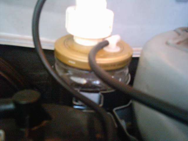 IMAG0005.JPG