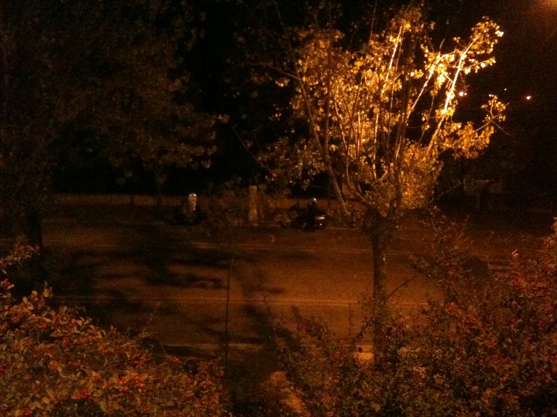 S-Z@mobi.e.leiria1